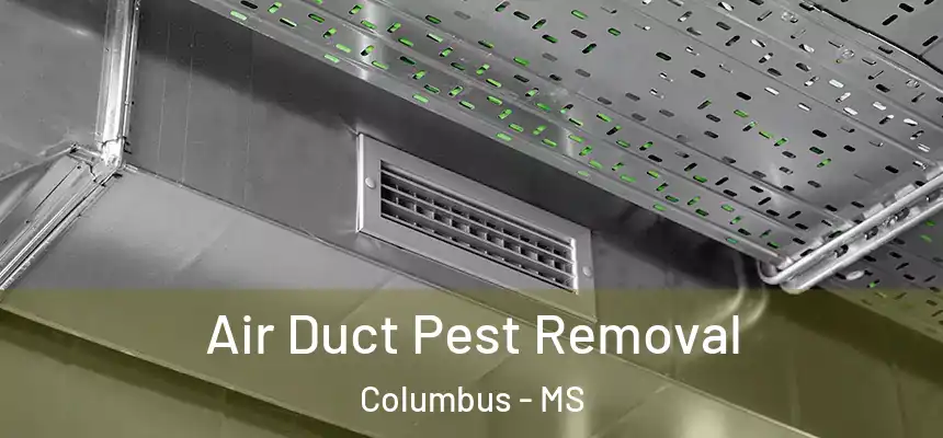 Air Duct Pest Removal Columbus - MS