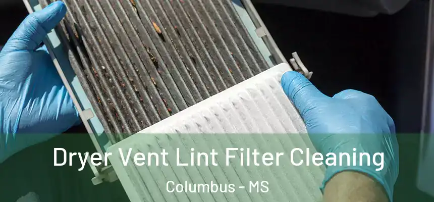 Dryer Vent Lint Filter Cleaning Columbus - MS