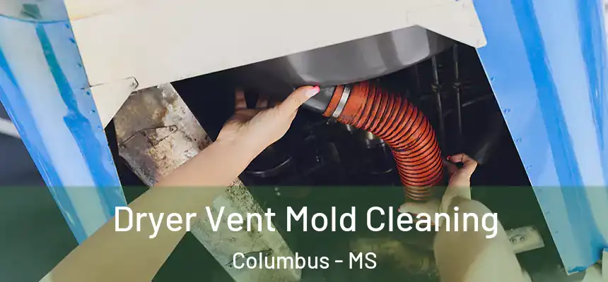 Dryer Vent Mold Cleaning Columbus - MS