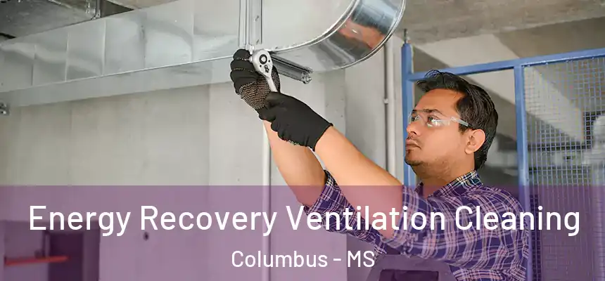 Energy Recovery Ventilation Cleaning Columbus - MS