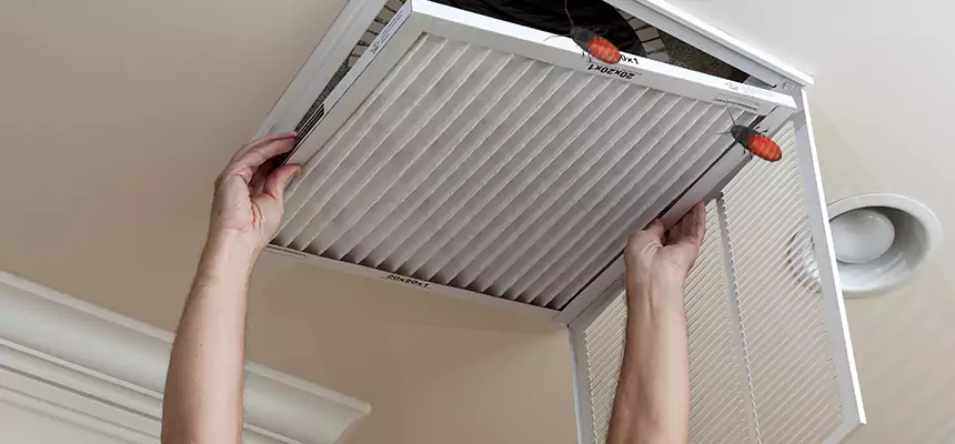 Our Insect Removal from Air Ducts Services in Columbus, MS