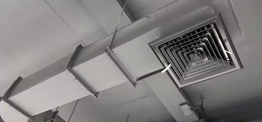 Our Pest Removal From Ducts Services in Columbus, MS