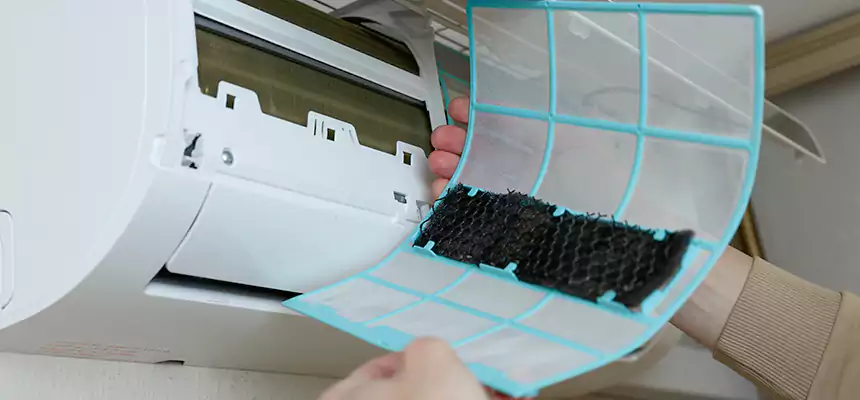 Gentle Ductwork Odor-Control Pet Dander Duct Cleaning in Columbus, MS