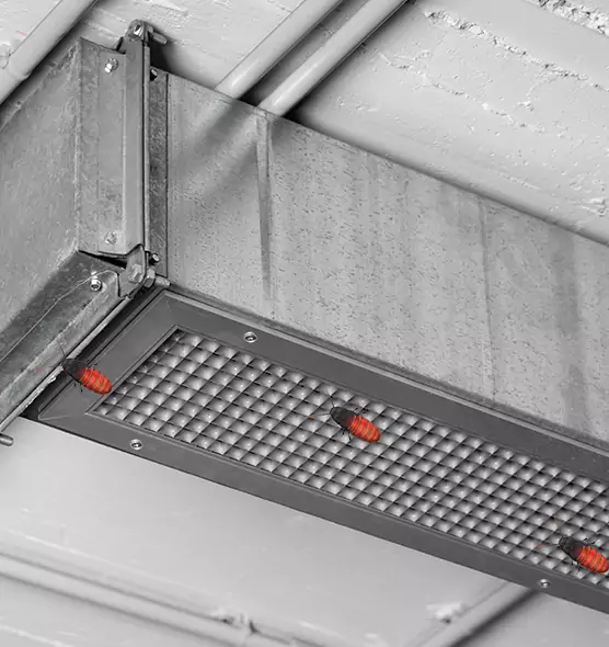 About Air Duct Cockroach Removal in Columbus, MS