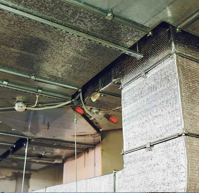 Why Homeowners & Businesses Trust Us in Columbus, MS?