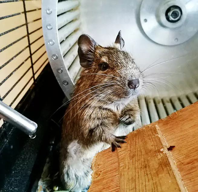 Why Homeowners & Businesses Trust Us Columbus, MS