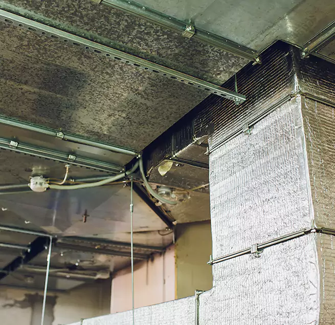 Why Homeowners & Businesses Trust Us in Columbus, MS?